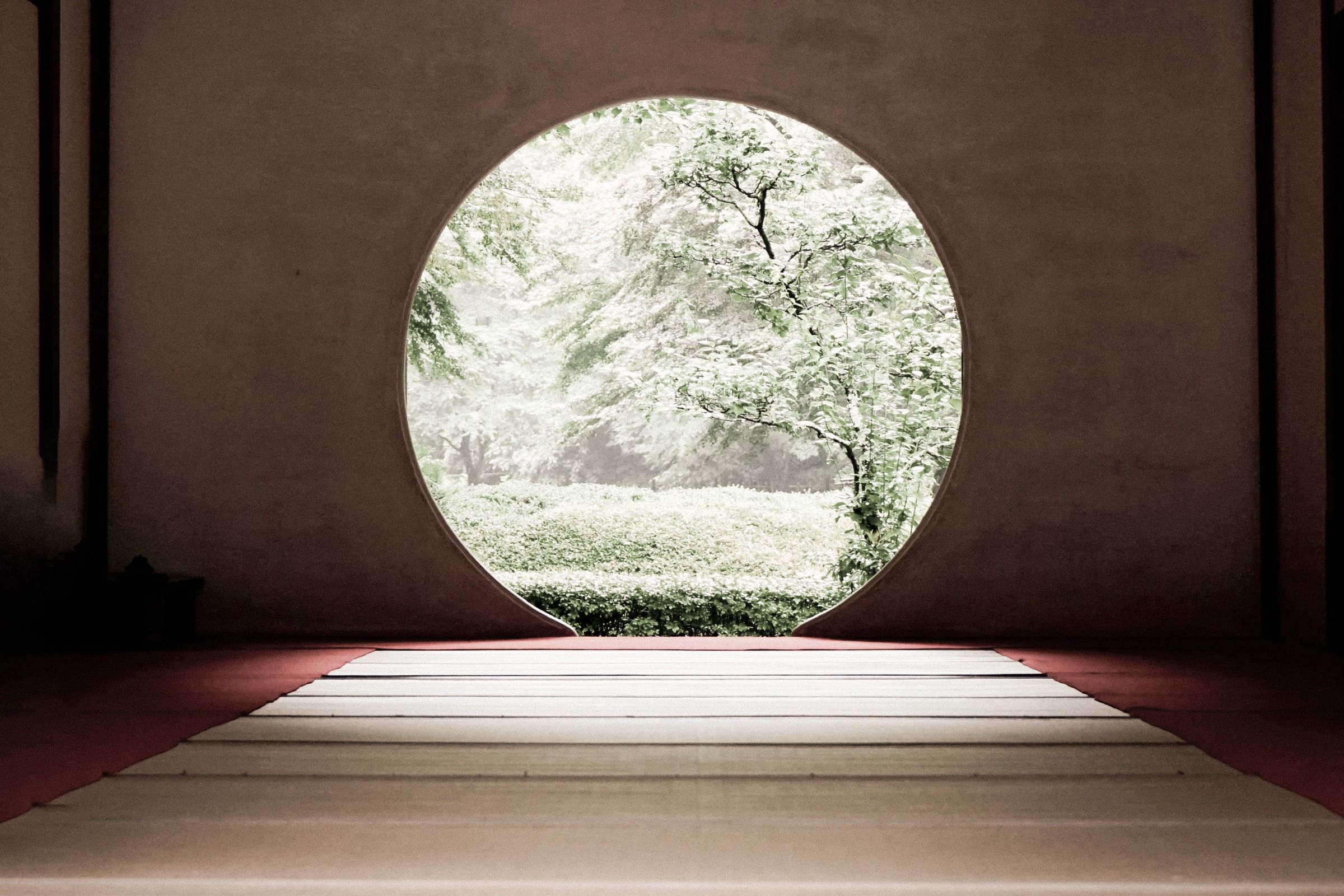 A circular opening framing a quiet, sunlit garden